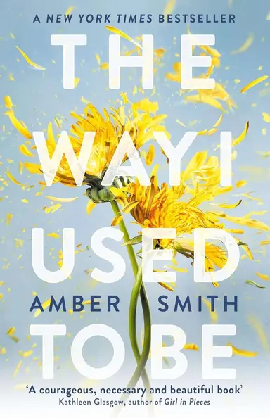The Way I Used to Be By Amber Smith (Paperback)