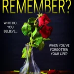 Do You Remember by Freida McFadden paperback book cover