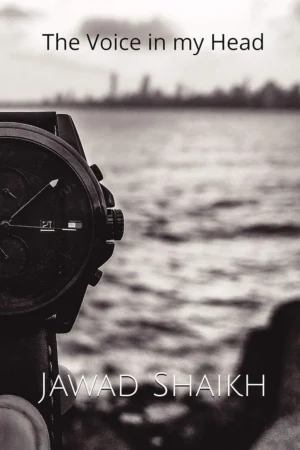 The Voice in My Head by Dana L. Davis paperback book cover