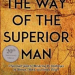 The Way of the Superior Man by David Deida paperback book cover